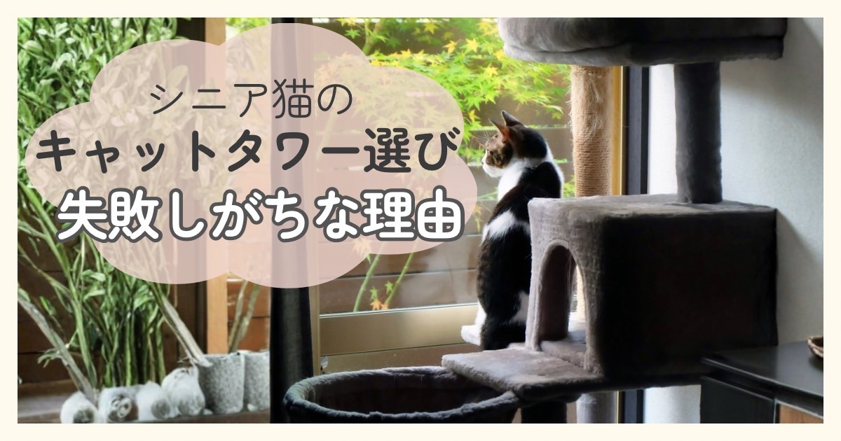 窓辺のキャットタワーに座る猫と、シニア猫のキャットタワー選びに関する記事タイトル入りアイキャッチ画像