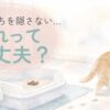 猫がうんちを隠さずトイレのそばを離れる様子を描いた水彩風イラスト