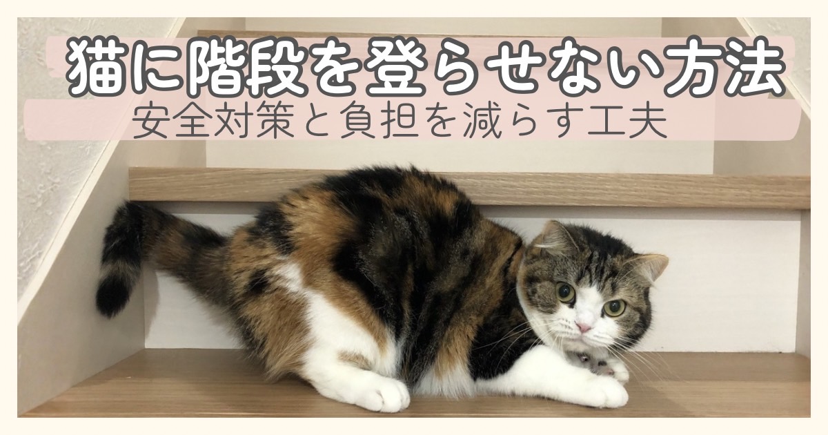 猫に階段を登らせない方法｜安全対策と負担を減らす工夫のイメージ