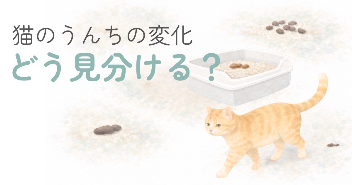 猫のうんちの変化や見分け方をやさしく整理した水彩風イラスト