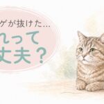 猫のヒゲが抜けるときのイメージイラスト