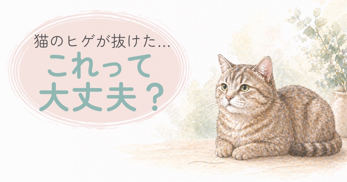 猫のヒゲが抜けるときのイメージイラスト