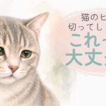 猫のヒゲが短くなっている様子を描いたやさしい水彩イラスト
