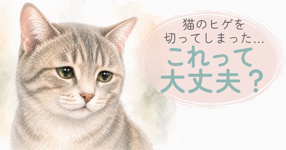 猫のヒゲが短くなっている様子を描いたやさしい水彩イラスト