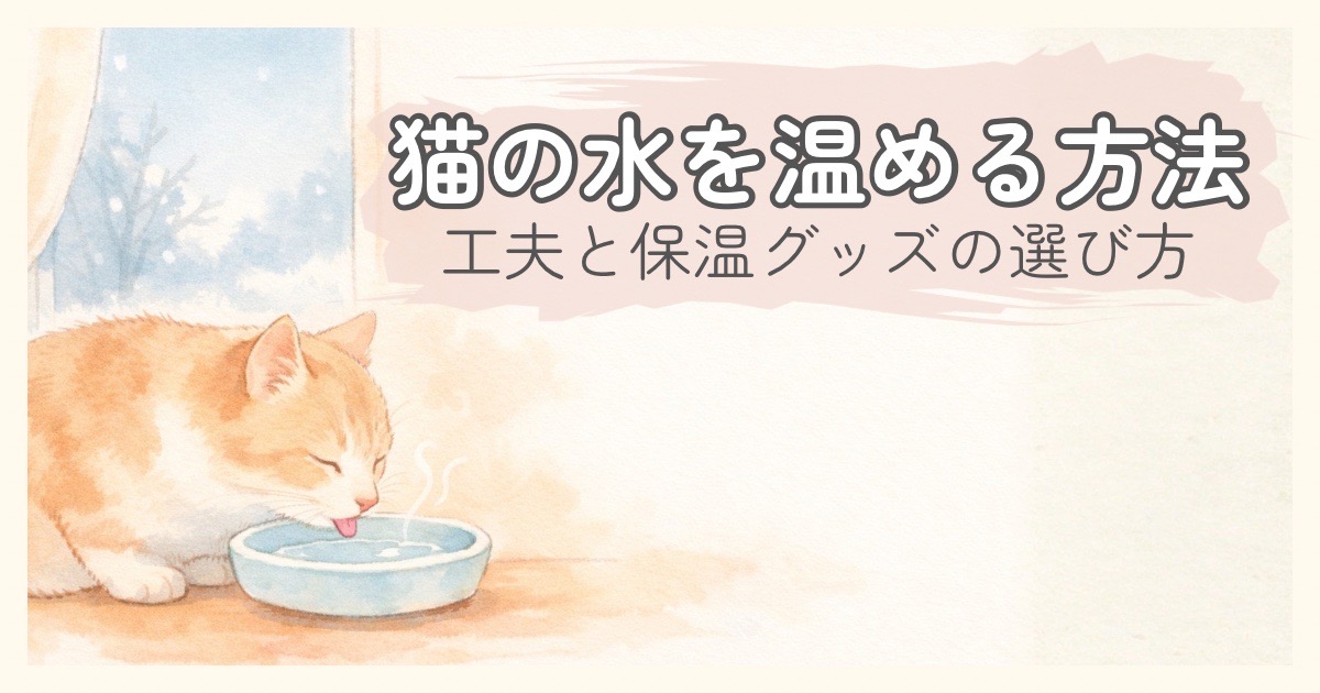 猫の水を温める方法｜工夫と保温グッズのイメージ