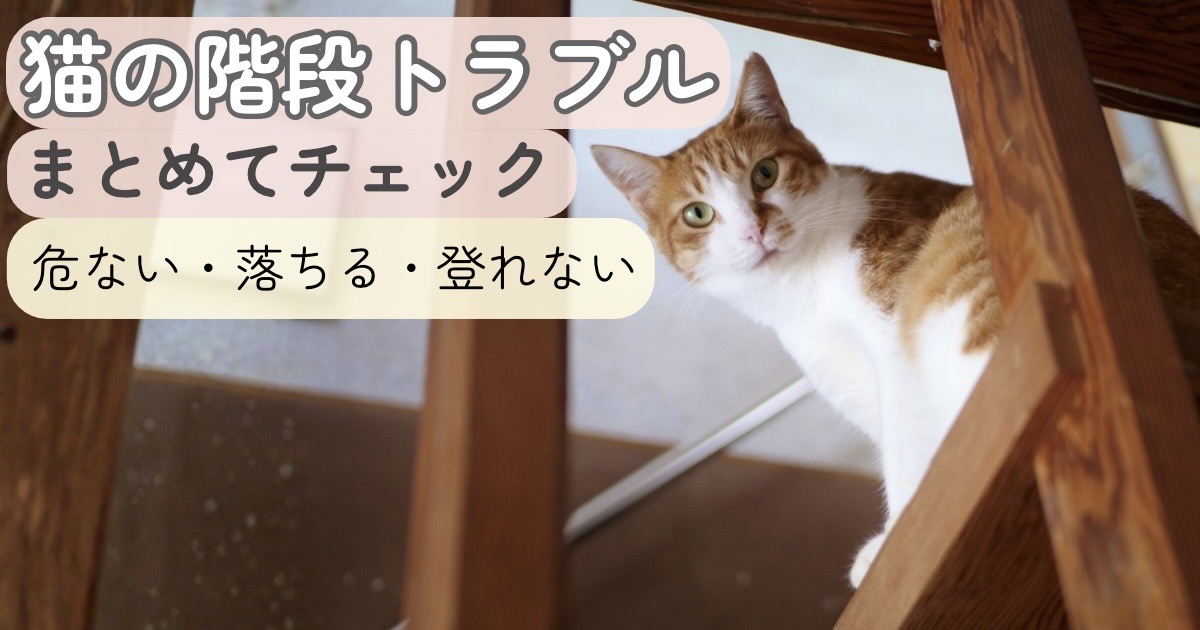 危ない・落ちる・登れないなどの猫の階段トラブルをまとめたイメージ