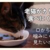 老猫がカリカリを食べにくそうにしている様子のアイキャッチ画像