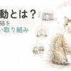 TNR活動の流れをやさしく表したイラスト