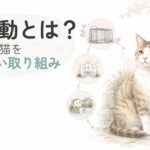TNR活動の流れをやさしく表したイラスト