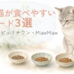 3つの小粒キャットフードを前にしたシニア猫の比較イメージ