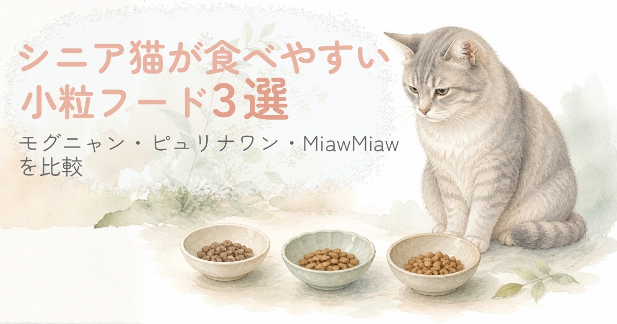 3つの小粒キャットフードを前にしたシニア猫の比較イメージ