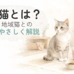 保護猫が安心できる室内で過ごすやさしい水彩イラスト