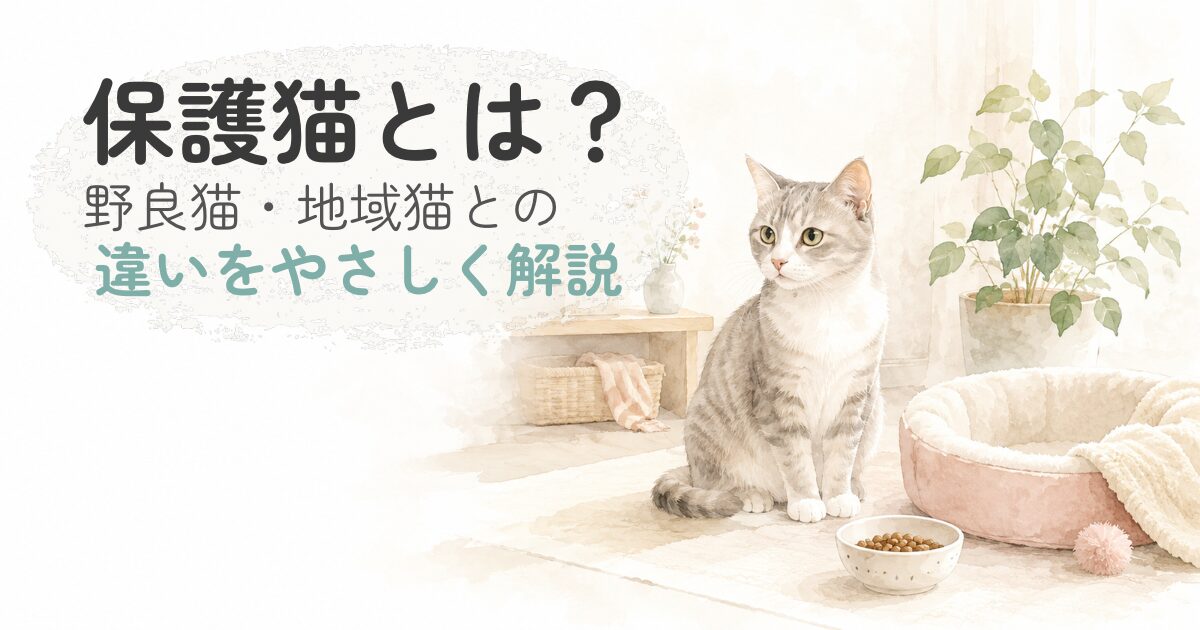 保護猫が安心できる室内で過ごすやさしい水彩イラスト