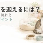 保護猫を迎える準備をやさしく表した水彩イラスト