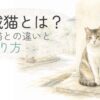 地域で見守られているさくら耳の猫のイラスト