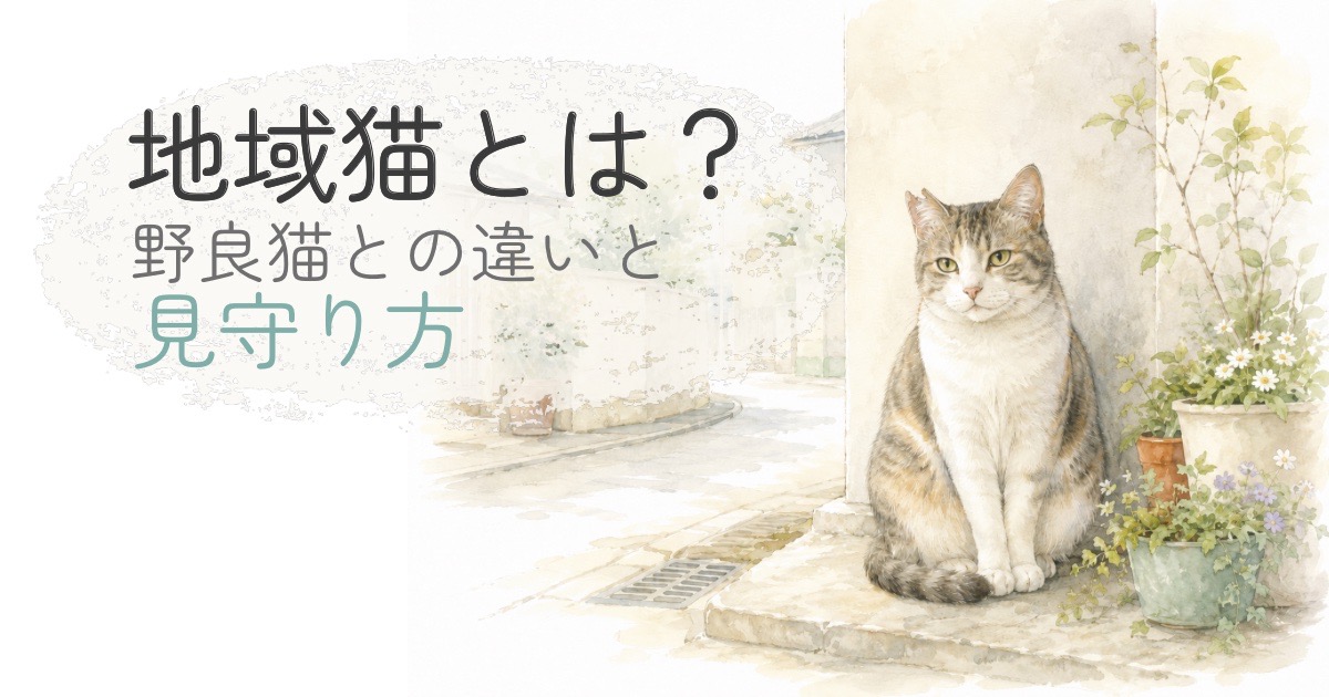 地域で見守られているさくら耳の猫のイラスト