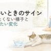 暑い日にフローリングで伸びる猫を見守る水彩イラスト