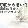 室温計と湿度計のそばで、夏の室内を快適に過ごす猫のイラスト