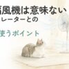 扇風機とサーキュレーターの近くで過ごす猫の水彩イラスト