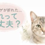 ヒゲの一部が少し折れている猫の顔まわりを描いたやさしい水彩イラスト