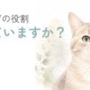 猫のヒゲがよく見える顔のアップを描いたやさしい水彩イラスト