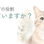 猫のヒゲがよく見える顔のアップを描いたやさしい水彩イラスト