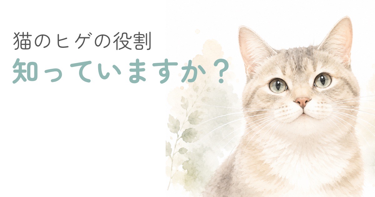 猫のヒゲがよく見える顔のアップを描いたやさしい水彩イラスト