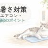 夏の室内で猫が涼しく過ごす暑さ対策のイラスト