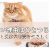 ごはんを前にしたシニア猫と食べない理由のイメージ