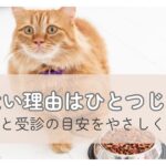 ごはんを前にしたシニア猫と食べない理由のイメージ