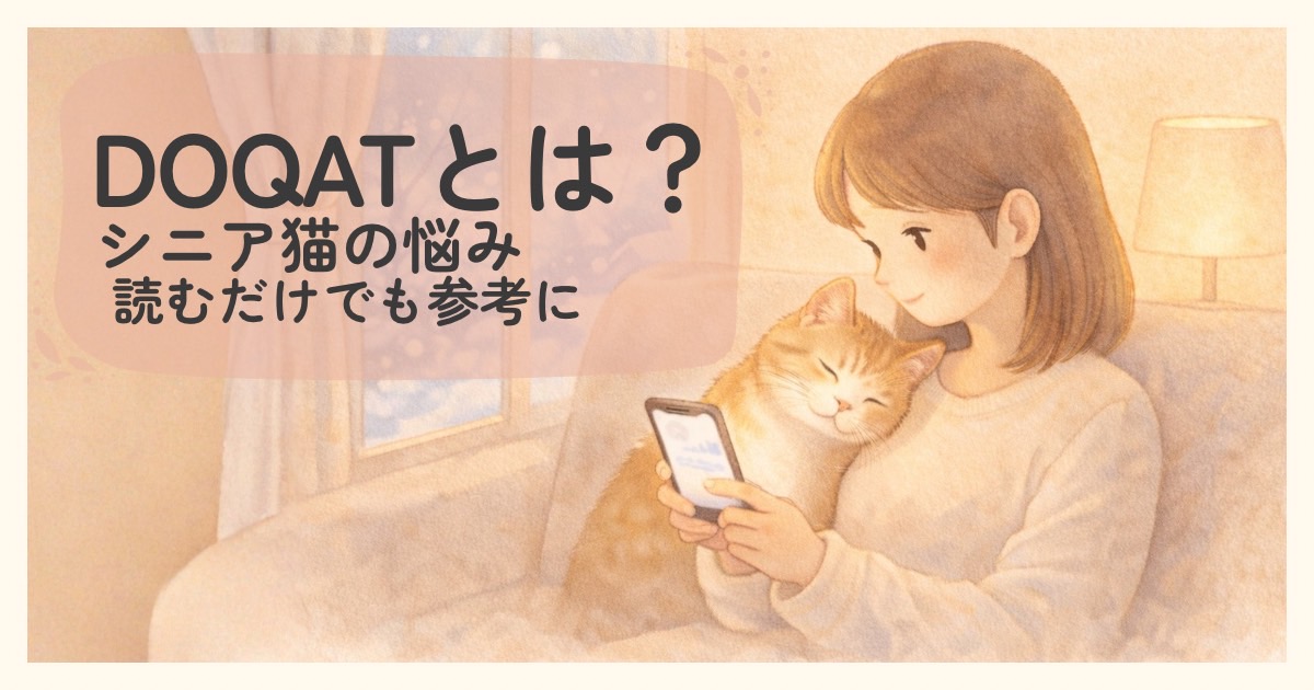 DOQATとは？シニア猫の悩みや他の飼い主の回答を読めるサービスを紹介するアイキャッチ画像
