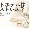 ペットホテルの個室で少し緊張した様子の猫を描いたイラスト