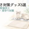 猫の暑さ対策グッズと涼しい休憩場所のイラスト
