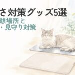 猫の暑さ対策グッズと涼しい休憩場所のイラスト