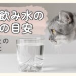 猫の飲み水の温度の目安