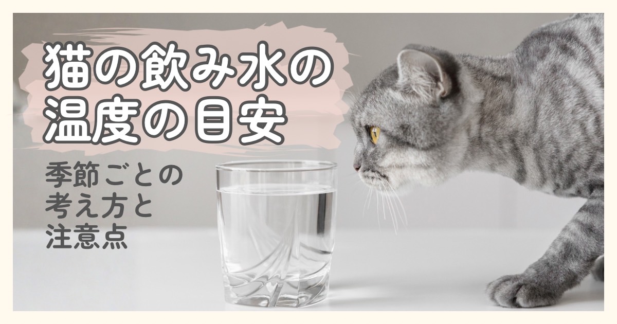 猫の飲み水の温度の目安