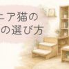 シニア猫が使いやすい本棚や収納棚、ステップ付き家具のイメージイラスト