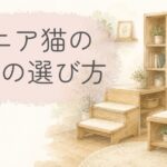 シニア猫が使いやすい本棚や収納棚、ステップ付き家具のイメージイラスト