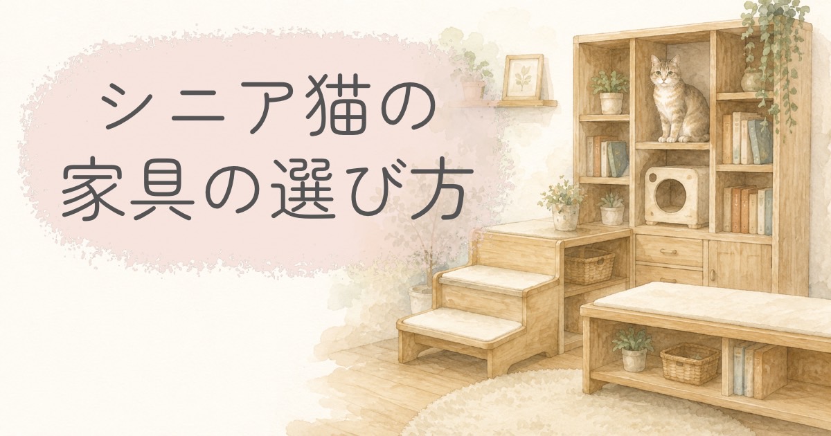 シニア猫が使いやすい本棚や収納棚、ステップ付き家具のイメージイラスト