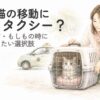キャリーに入ったシニア猫とペットタクシーを利用する飼い主のイメージ