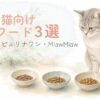 3つの小粒キャットフードを前にしたシニア猫の比較イメージ