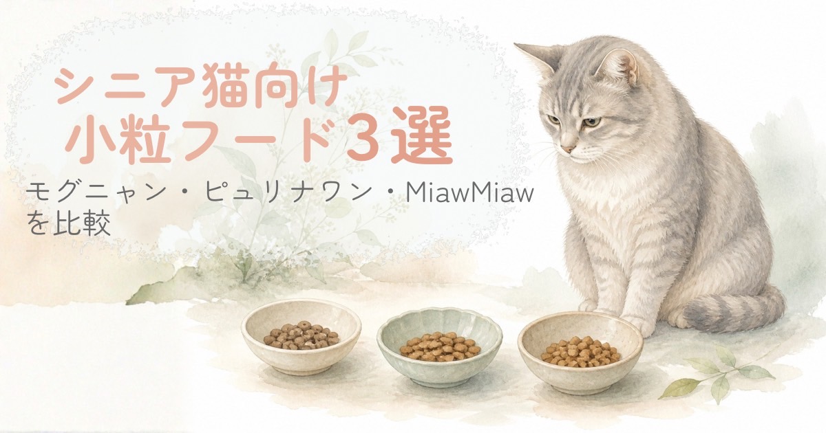 3つの小粒キャットフードを前にしたシニア猫の比較イメージ
