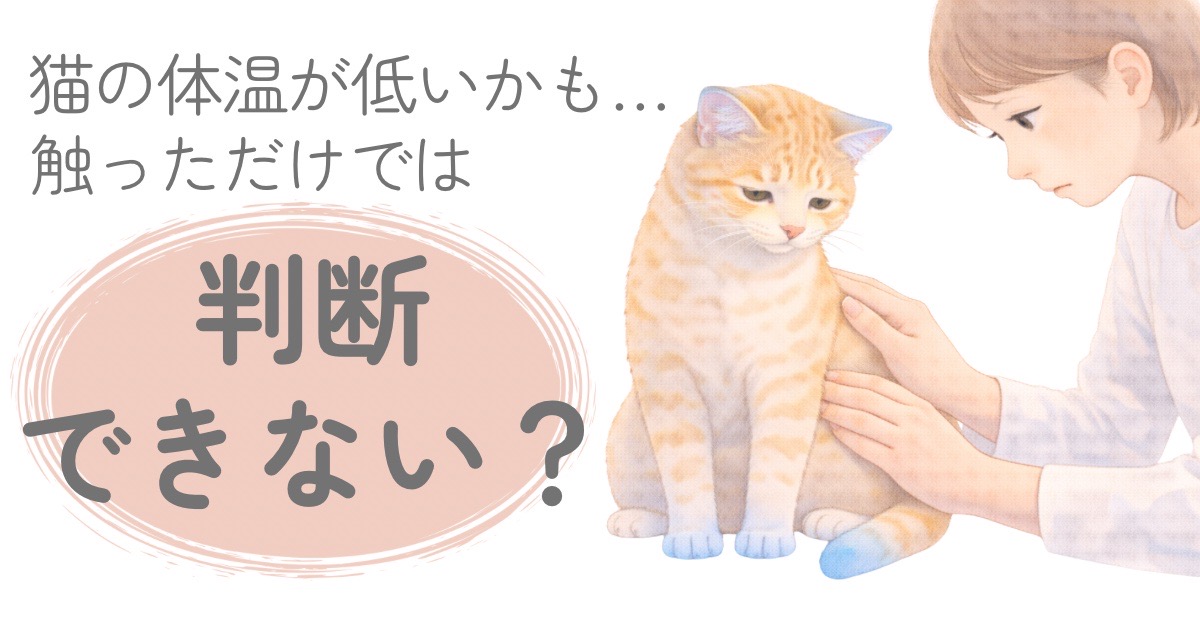 猫の体温が低いかもしれないと感じて体に触れて確認する飼い主のイラスト