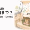 シニア猫の車移動の時間を考えながら猫の様子を確認する飼い主