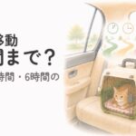 シニア猫の車移動の時間を考えながら猫の様子を確認する飼い主