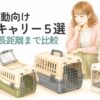 猫の車移動に使うハードキャリーを比較しながら選ぶ飼い主のイラスト