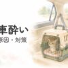 車内で固定されたキャリーに入るシニア猫の様子を確認する飼い主