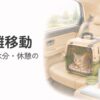 シニア猫の長距離移動の前にキャリーや水、ペットシーツを車内に準備する飼い主