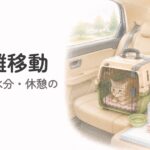 シニア猫の長距離移動の前にキャリーや水、ペットシーツを車内に準備する飼い主