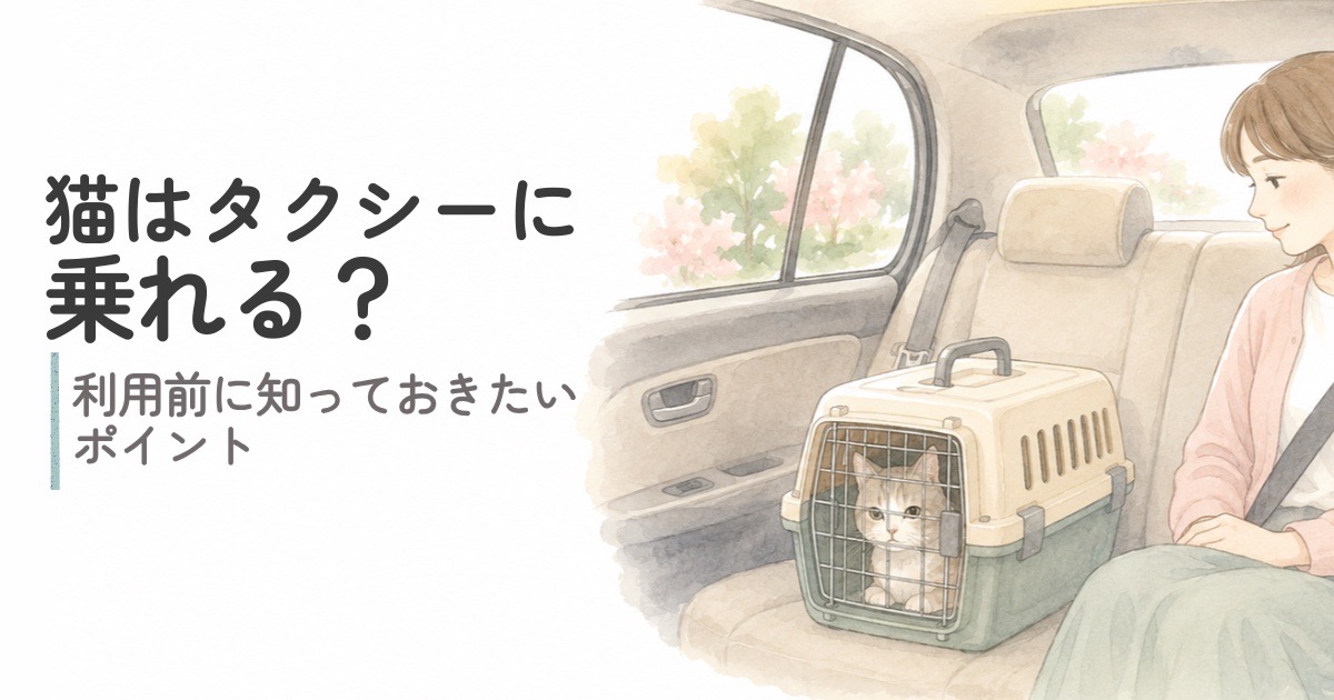 普通のタクシーの後部座席で、キャリーに入ったシニア猫と飼い主が一緒に移動するイメージ